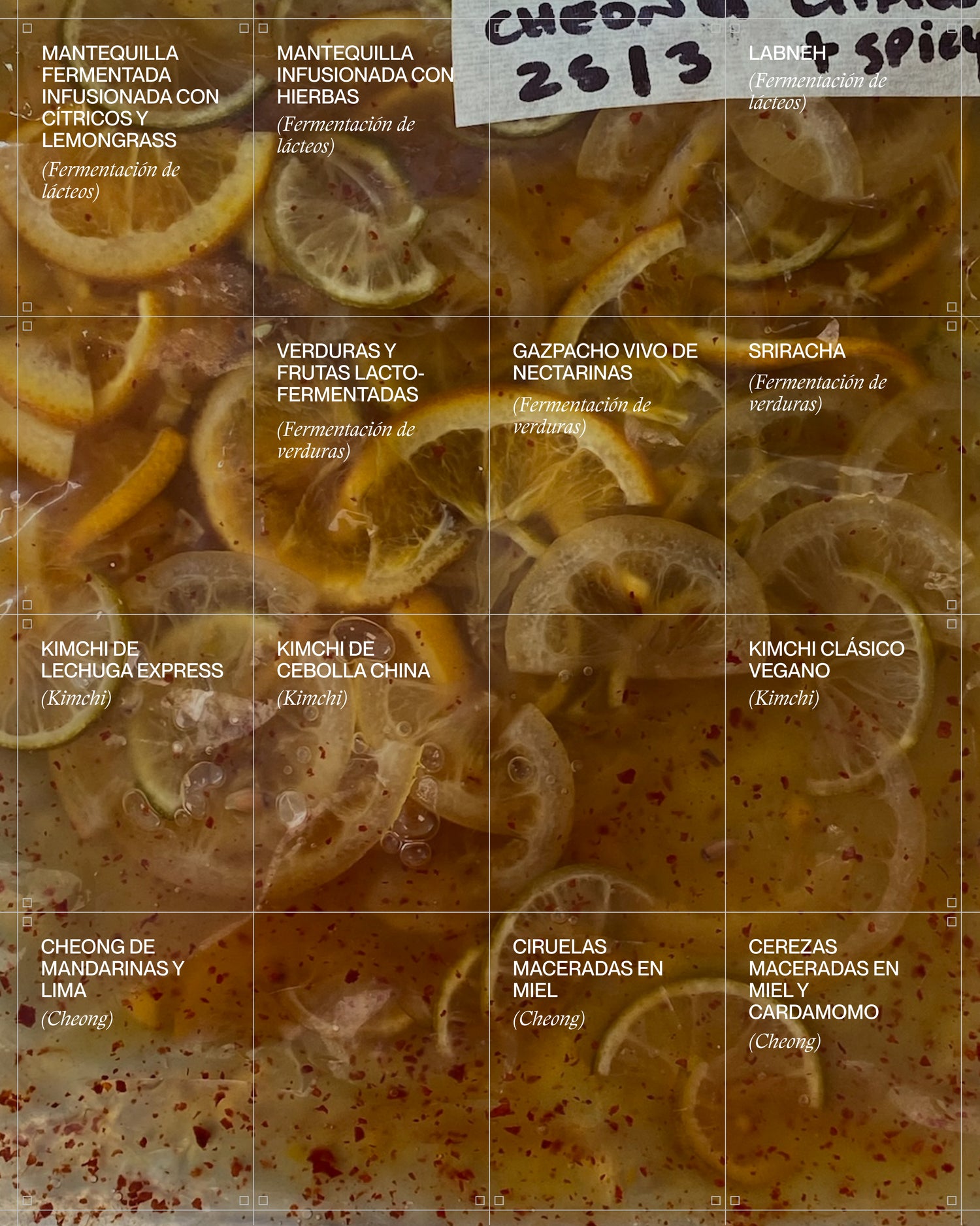 Fondo. All rights reserved. Ferments 101 with Irene Haedo